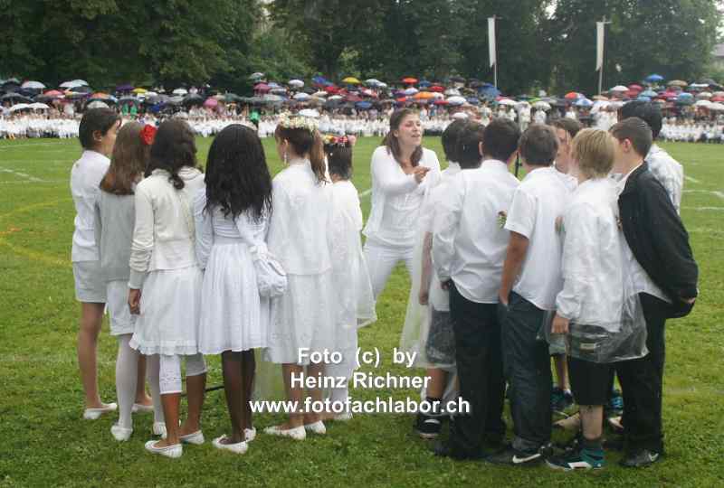 22243 maienzug.jpg